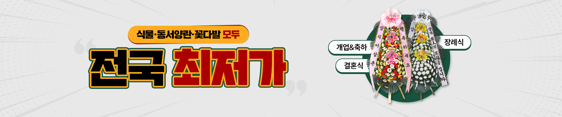 화환, 식물, 동서양란, 꽃다발 전국 배송